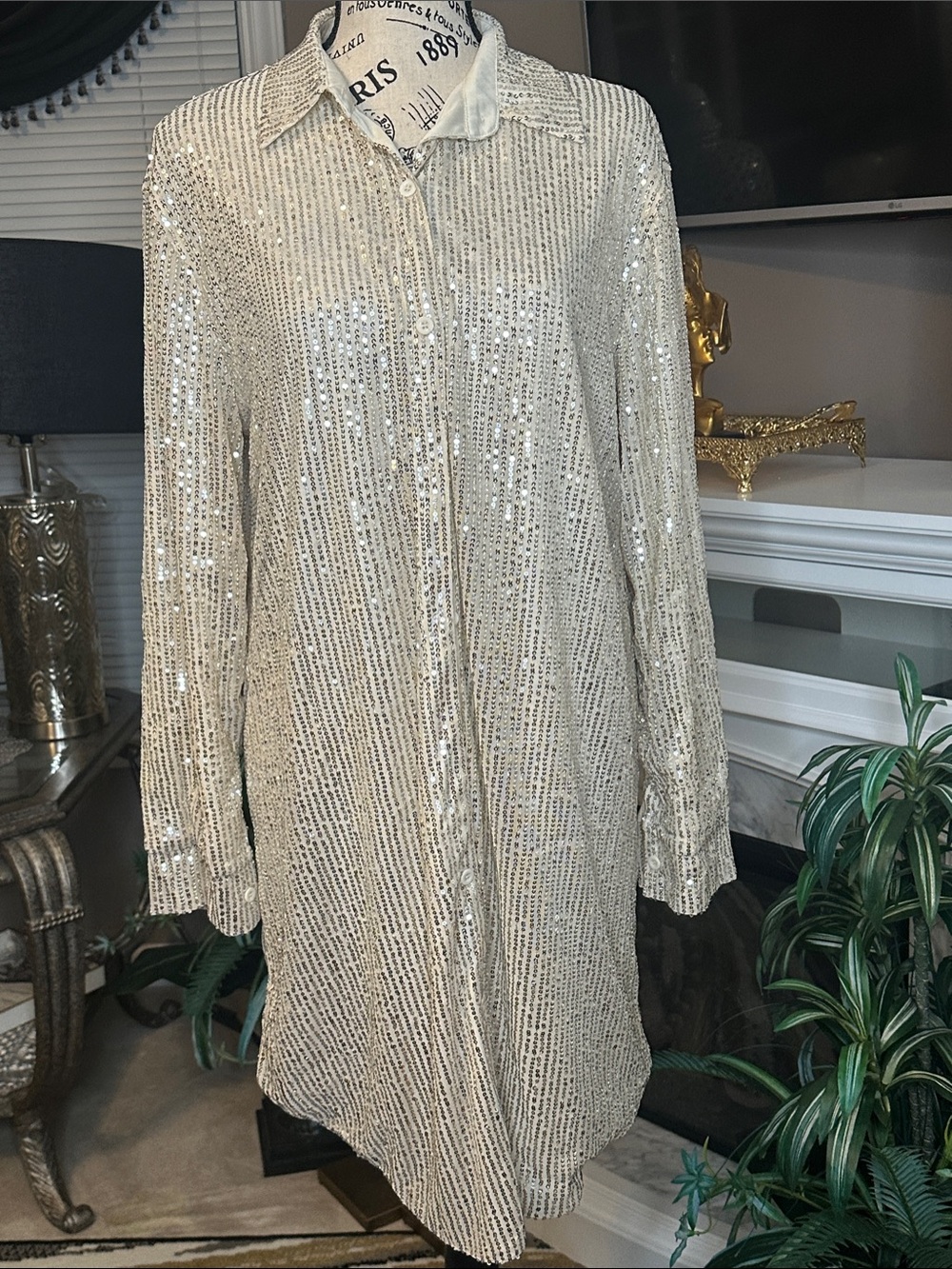 Women's Long-Sleeve Sequin Shirt Dress in Champagne